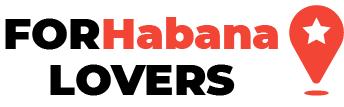 Best Vertical Work Courses In Havana Near Me