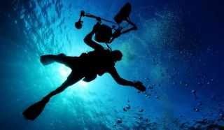 cursos de natacion para bebes en habana Centro De Buceo/Dive Center : Cuba Blue Diving