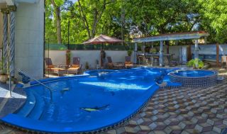 bungalows that allow dogs in havana Casa Havana